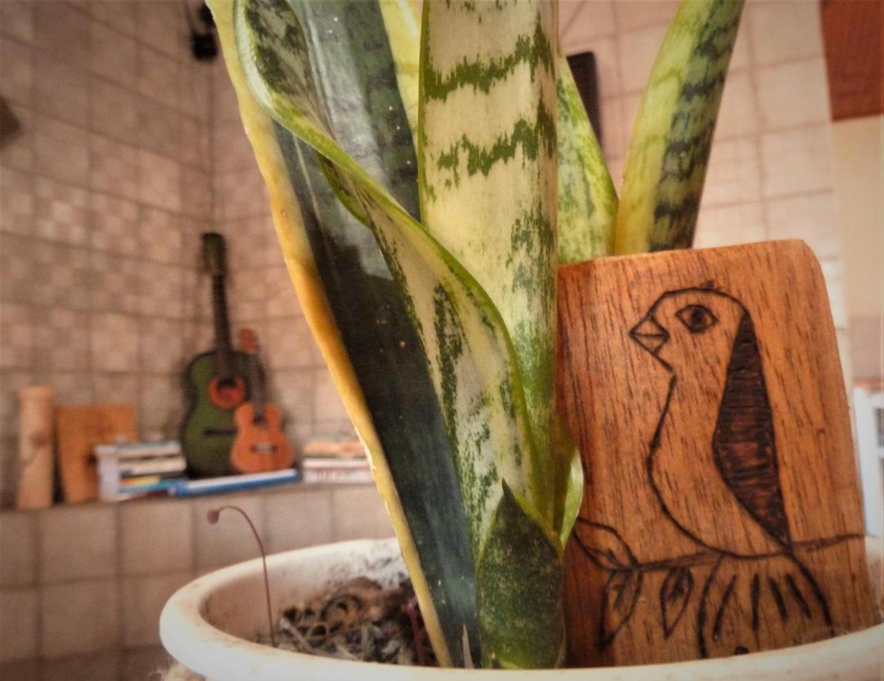 Casa Di Vo Bed & Breakfast มูกูเจ ภายนอก รูปภาพ